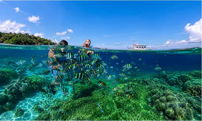 Gili kedis snorkelling