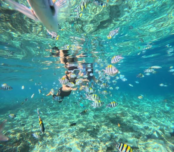 Snorkeling Nemo Gili