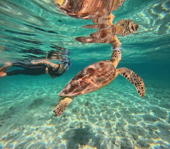 Snorkeling